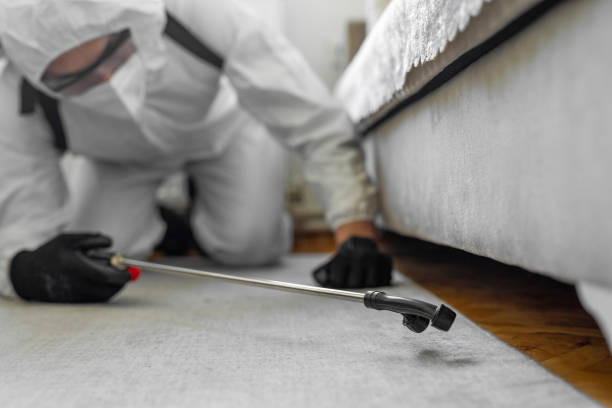 Professional Cockroach Control technician working in Evans, CO