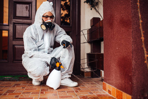 Reliable Cockroach Control contractor in Evans, CO by Nex Pest Control